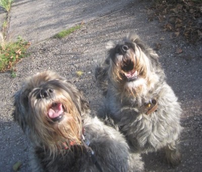 IMG_0779.JPG (108.24 КБ) 2889 просмотров подайте люди добрые...