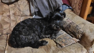 IMG-20201114-WA0027.jpg
