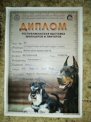IMG_20201203_204450.jpg