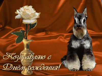 700495909.gif