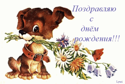 88829.gif