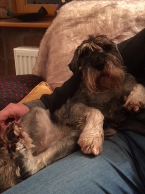 472f4f02dfaf.jpg (62.93 КБ) 4532 просмотра не поеду я никуда....на фиг мне ваша Италия....У меня тут любящий папа.....совсем скоро он поймёт что он без меня не может)))