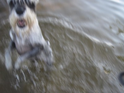 IMG_1526.JPG (77.07 КБ) 2982 просмотра Ну кидай уже скорей!!!!!!!!