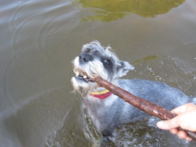 IMG_1531.JPG (75.55 КБ) 3087 просмотров Вот принесла!!! Кидай ещё!!!!