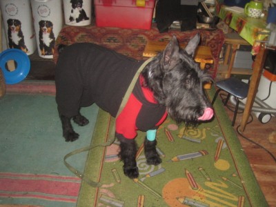 IMG_1671.JPG (121.78 КБ) 4158 просмотров Очень симпатичный мальчик