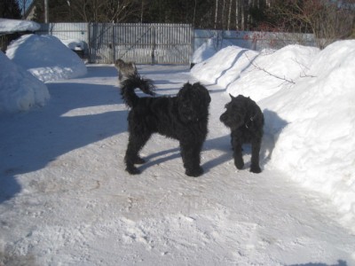 IMG_2194.JPG (114.49 КБ) 3635 просмотров ещё дать???? нет не надо..