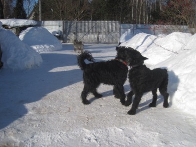 IMG_2195.JPG (116.59 КБ) 3635 просмотров а я дам!!!!)))))