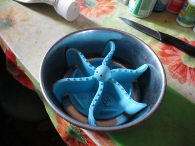 IMG_6767.JPG (122.35 КБ) 5357 просмотров Вот из такой чудесной мисочки ест Лёшик