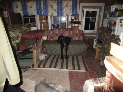 IMG_7320.JPG (154.5 КБ) 4553 просмотра После вечерней прогулки