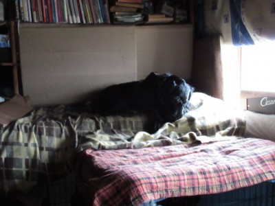 IMG_7321.JPG (122.29 КБ) 4553 просмотра с отобранной грызой