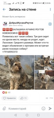 B573E7F1-16A9-40AC-B06D-605DA7AB6D6E.jpeg (141.72 КБ) 13946 просмотров B573E7F1-16A9-40AC-B06D-605DA7AB6D6E.jpeg