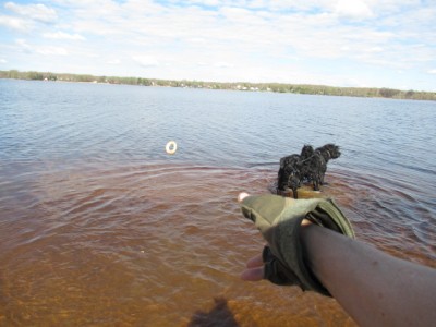 IMG_7707.JPG (126.91 КБ) 7600 просмотров Начали!!