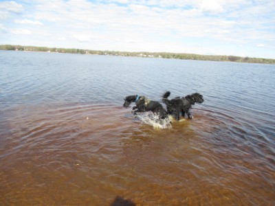 IMG_7708.JPG (131.04 КБ) 7600 просмотров сто из ста!!! Рафа победила)))