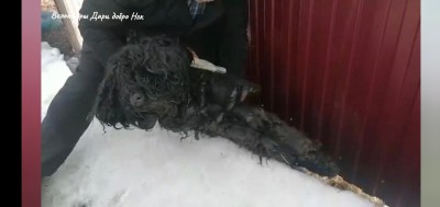 Screenshot_20230504_185004_Samsung Internet.jpg (115.21 КБ) 13662 просмотра Screenshot_20230504_185004_Samsung Internet.jpg