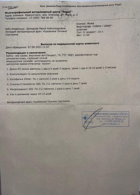 IMG-20230812-WA0023.jpg (101.09 КБ) 21850 просмотров IMG-20230812-WA0023.jpg