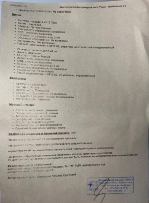 IMG-20230812-WA0022.jpg (117.9 КБ) 21861 просмотр IMG-20230812-WA0022.jpg