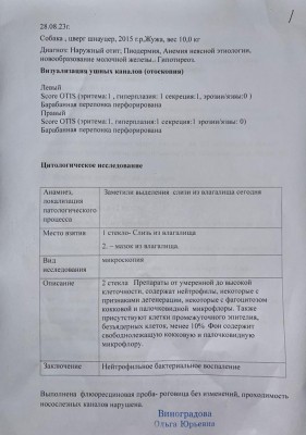 IMG-20230830-WA0006.jpg (83.7 КБ) 19887 просмотров IMG-20230830-WA0006.jpg