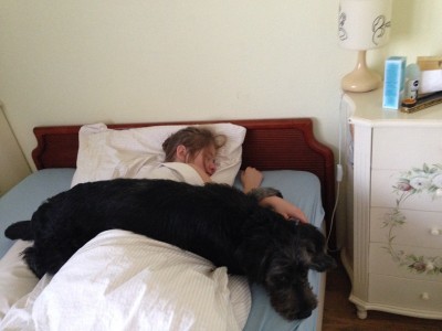 IMG_5655.JPG (155.16 КБ) 7676 просмотров На страже сна