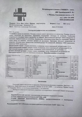 IMG-20230909-WA0011.jpg (133.21 КБ) 18757 просмотров IMG-20230909-WA0011.jpg