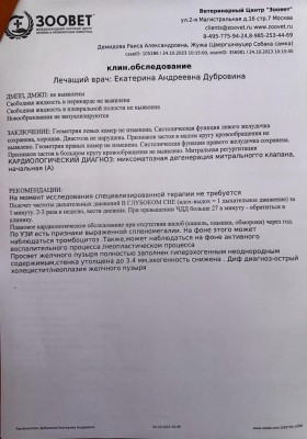 IMG-20231024-WA0003.jpg (96.63 КБ) 17016 просмотров IMG-20231024-WA0003.jpg