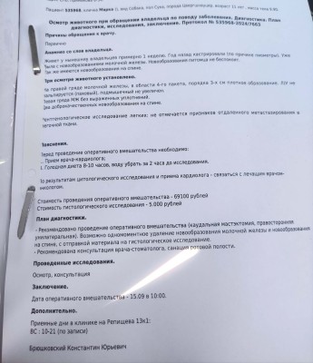 IMG_20240908_181159.jpg