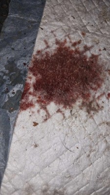 Ovxfbd51E5l0GSO_9lp6qYFyrFvXQ_G6qwJRn4_en1NLXe9Da2U3ivOrrBpvKB_OY2BucP44aHmRGX6opNwGUIGz.jpg