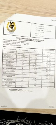 IMG_20241027_121905_681.jpg