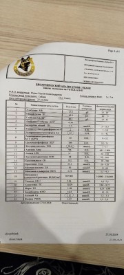 IMG_20241027_121905_827.jpg