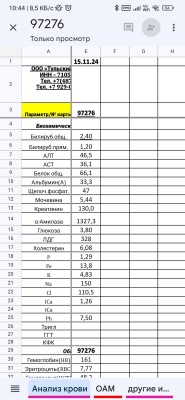Screenshot_2024-11-17-10-44-27-076_com.google.android.apps.docs.editors.sheets.jpg