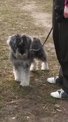 20150416_193758.jpg
