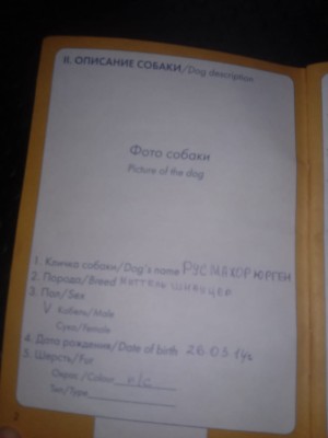 IMG-20241221-WA0016.jpg