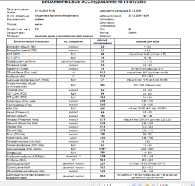 Снимок экрана (924).png
