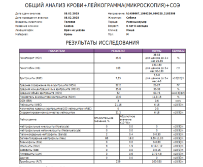 Снимок экрана (940).png