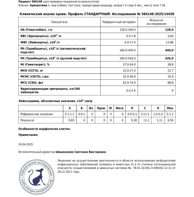 IMG_20250422_213949.jpg