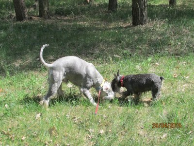 IMG_6843 copy.jpg