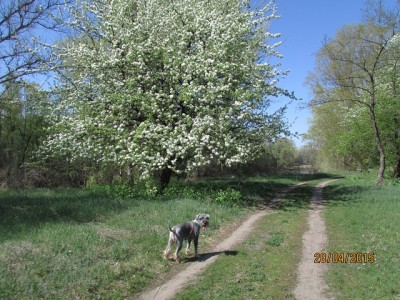 IMG_6867 copy.jpg