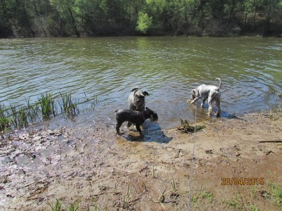 IMG_6900 copy.jpg