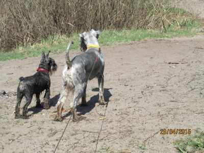 IMG_6906 copy.jpg