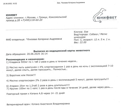 IMG-20250621-WA0036.jpg