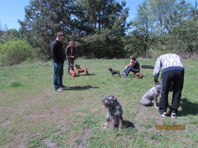 IMG_7204copy.jpg