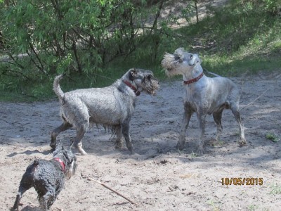 IMG_7247copy.jpg