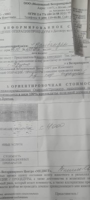 IMG-20250919-WA0012.jpg