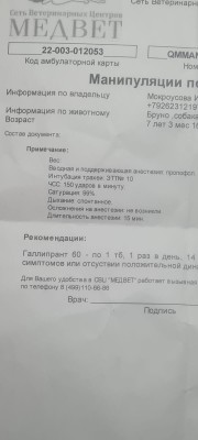 IMG-20250919-WA0010.jpg