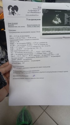 IMG-20251023-WA0005.jpg