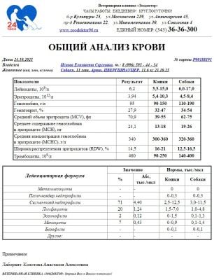 IMG-20251024-WA0000.jpg