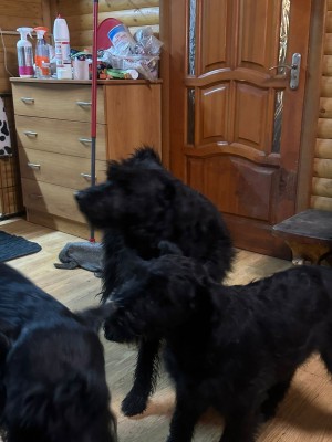 WhatsApp Image 2025-11-11 at 8.07.43 PM.jpeg