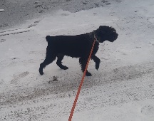 Screenshot_20251115-140956_Video Player.jpg