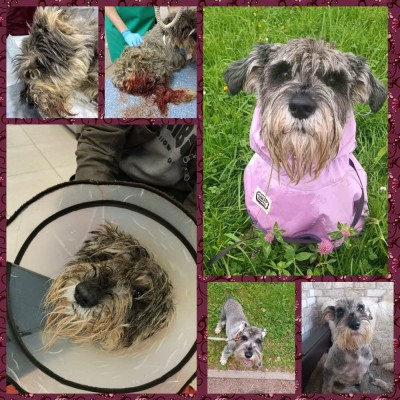 MyCollages (1) (1).jpg