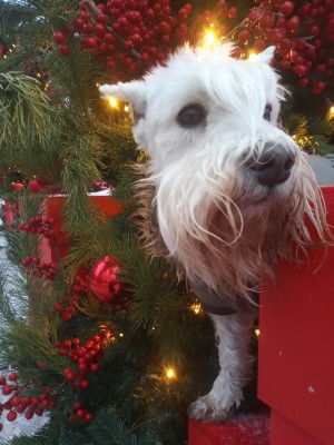 WhatsApp Image 2025-12-16 at 18.12.03.jpeg