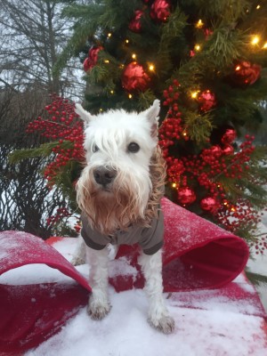 WhatsApp Image 2025-12-16 at 18.08.20.jpeg